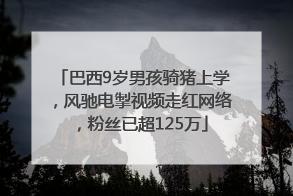巴西9岁男孩骑猪上学，风驰电掣视频走红网络，粉丝已超125万