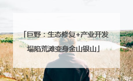巨野：生态修复+产业开发 塌陷荒滩变身金山银山
