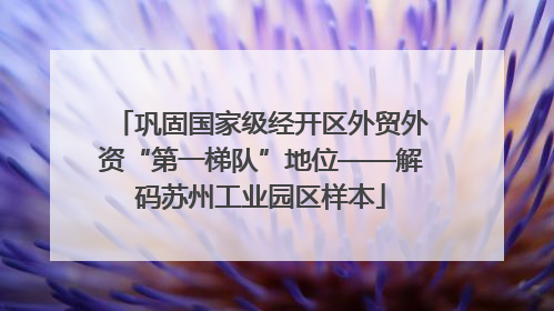 巩固国家级经开区外贸外资“第一梯队”地位——解码苏州工业园区样本