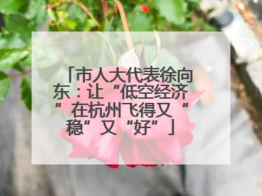 市人大代表徐向东：让“低空经济”在杭州飞得又“稳”又“好”