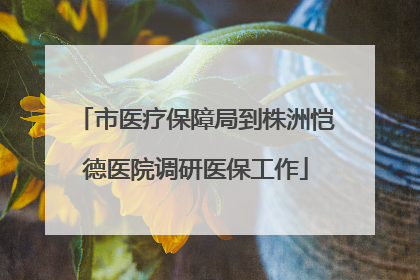 市医疗保障局到株洲恺德医院调研医保工作