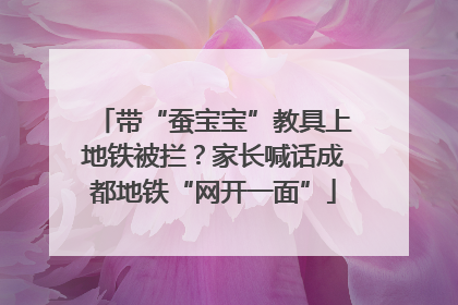 带“蚕宝宝”教具上地铁被拦？家长喊话成都地铁“网开一面”