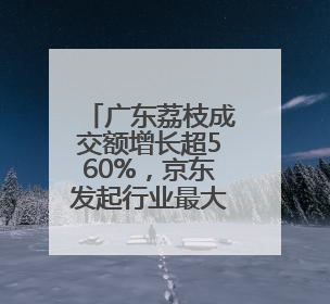 广东荔枝成交额增长超560%，京东发起行业最大规模助销行动