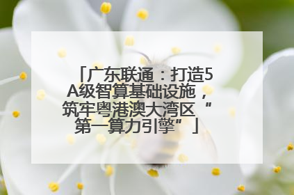 广东联通：打造5A级智算基础设施，筑牢粤港澳大湾区“第一算力引擎”