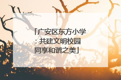 广安区东方小学：共建文明校园 同享和谐之美