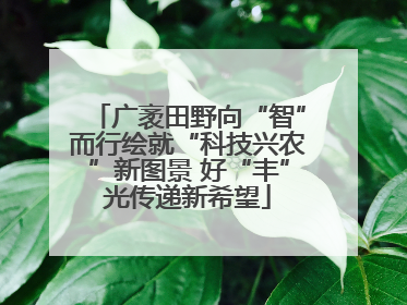 广袤田野向“智”而行绘就“科技兴农”新图景 好“丰”光传递新希望