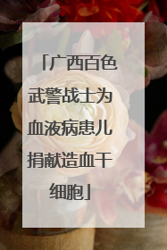 广西百色武警战士为血液病患儿捐献造血干细胞