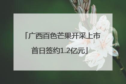广西百色芒果开采上市 首日签约1.2亿元
