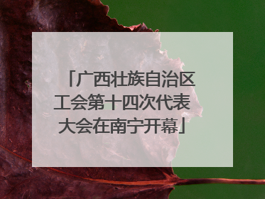 广西壮族自治区工会第十四次代表大会在南宁开幕