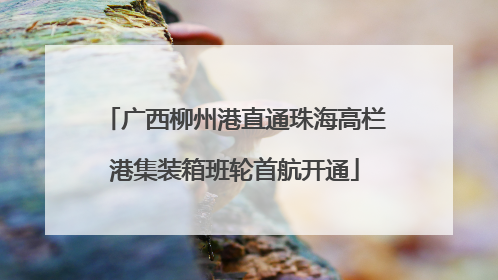 广西柳州港直通珠海高栏港集装箱班轮首航开通