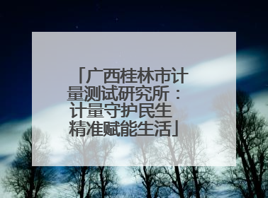 广西桂林市计量测试研究所：计量守护民生 精准赋能生活