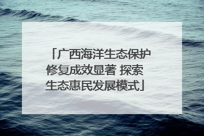 广西海洋生态保护修复成效显著 探索生态惠民发展模式