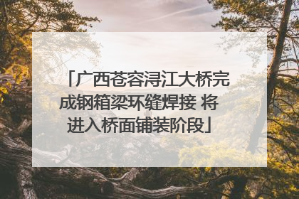 广西苍容浔江大桥完成钢箱梁环缝焊接 将进入桥面铺装阶段