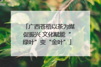 广西苍梧以茶为媒促振兴 文化赋能“绿叶”变“金叶”