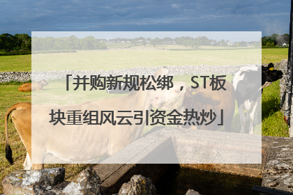 并购新规松绑，ST板块重组风云引资金热炒