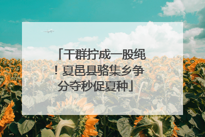 干群拧成一股绳！夏邑县骆集乡争分夺秒促夏种