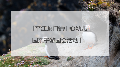 平江龙门镇中心幼儿园亲子游园会活动