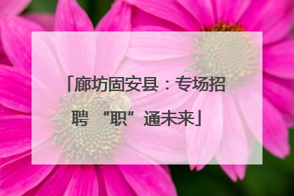 廊坊固安县：专场招聘 “职”通未来