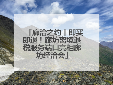 廊洽之约丨即买即退！廊坊离境退税服务端口亮相廊坊经洽会