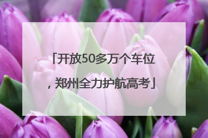 开放50多万个车位，郑州全力护航高考