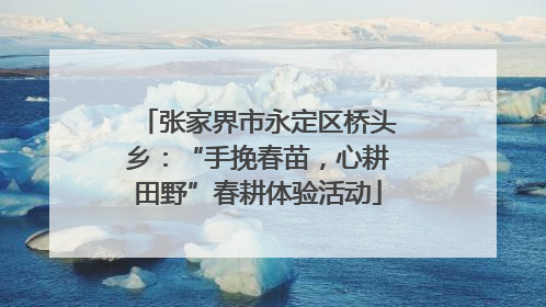 张家界市永定区桥头乡：“手挽春苗，心耕田野”春耕体验活动
