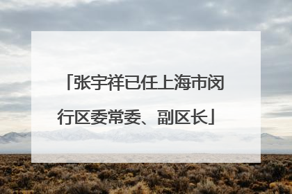 张宇祥已任上海市闵行区委常委、副区长