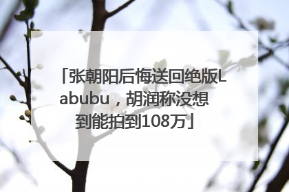 张朝阳后悔送回绝版Labubu，胡润称没想到能拍到108万