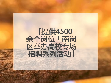提供4500余个岗位！南岗区举办高校专场招聘系列活动