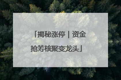 揭秘涨停｜资金抢筹核聚变龙头