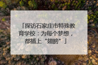探访石家庄市特殊教育学校：为每个梦想，都插上“翅膀”