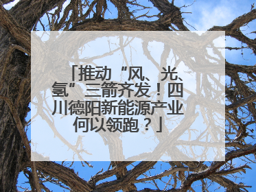 推动“风、光、氢”三箭齐发！四川德阳新能源产业何以领跑？