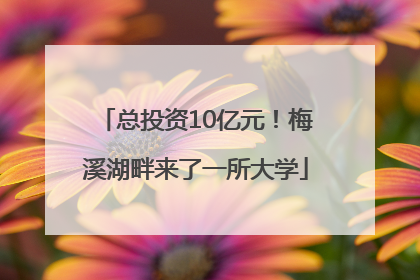 总投资10亿元！梅溪湖畔来了一所大学