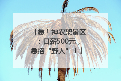 急！神农架景区：日薪500元，急招“野人”！