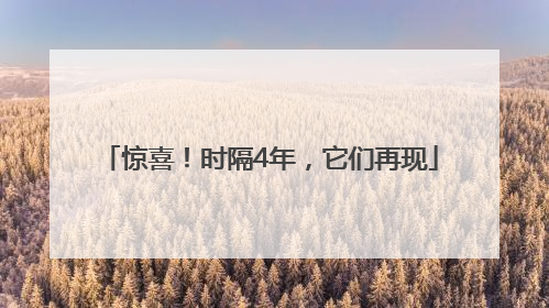 惊喜！时隔4年，它们再现