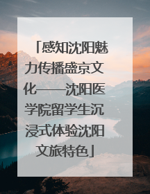 感知沈阳魅力传播盛京文化——沈阳医学院留学生沉浸式体验沈阳文旅特色