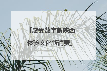 感受数字新陕西 体验文化新消费