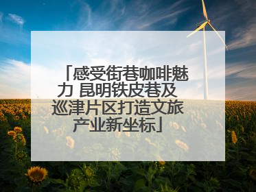 感受街巷咖啡魅力 昆明铁皮巷及巡津片区打造文旅产业新坐标