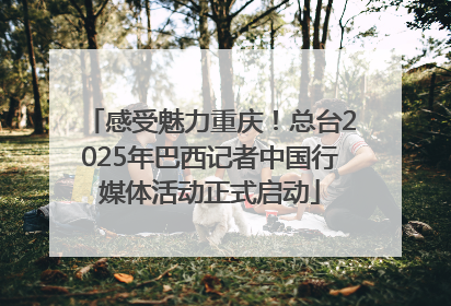 感受魅力重庆！总台2025年巴西记者中国行媒体活动正式启动