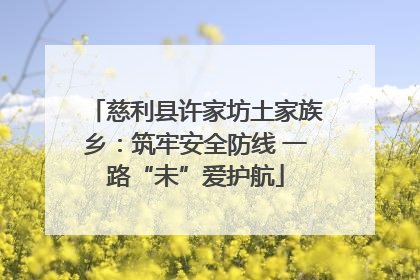 慈利县许家坊土家族乡：筑牢安全防线 一路“未”爱护航