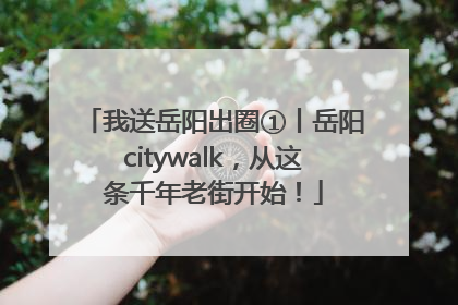 我送岳阳出圈①丨岳阳citywalk，从这条千年老街开始！