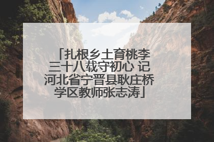 扎根乡土育桃李 三十八载守初心 记河北省宁晋县耿庄桥学区教师张志涛
