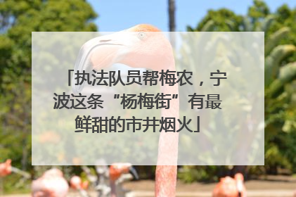 执法队员帮梅农，宁波这条“杨梅街”有最鲜甜的市井烟火