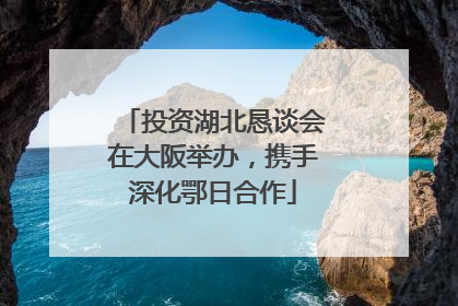 投资湖北恳谈会在大阪举办，携手深化鄂日合作