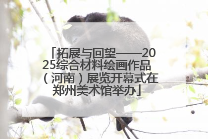 拓展与回望——2025综合材料绘画作品（河南）展览开幕式在郑州美术馆举办