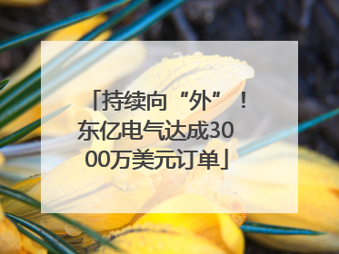 持续向“外”！东亿电气达成3000万美元订单