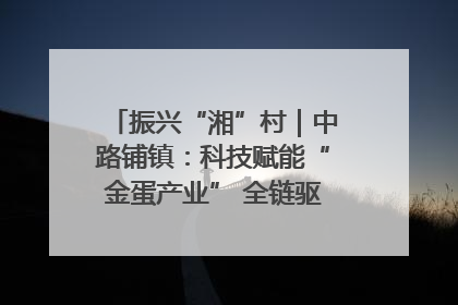 振兴“湘”村｜中路铺镇：科技赋能“金蛋产业” 全链驱动乡村振兴