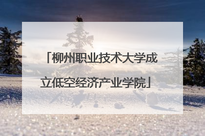 柳州职业技术大学成立低空经济产业学院