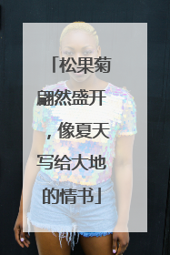 松果菊翩然盛开，像夏天写给大地的情书