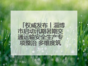 权威发布丨淄博市启动汛期暑期交通运输安全生产专项整治 多维度筑牢安全防线
