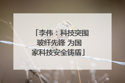 李伟：科技突围 玻纤先锋 为国家科技安全铸盾